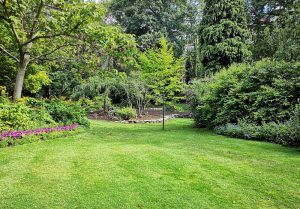 Optimiser l'expérience du jardin à Gageac-et-Rouillac